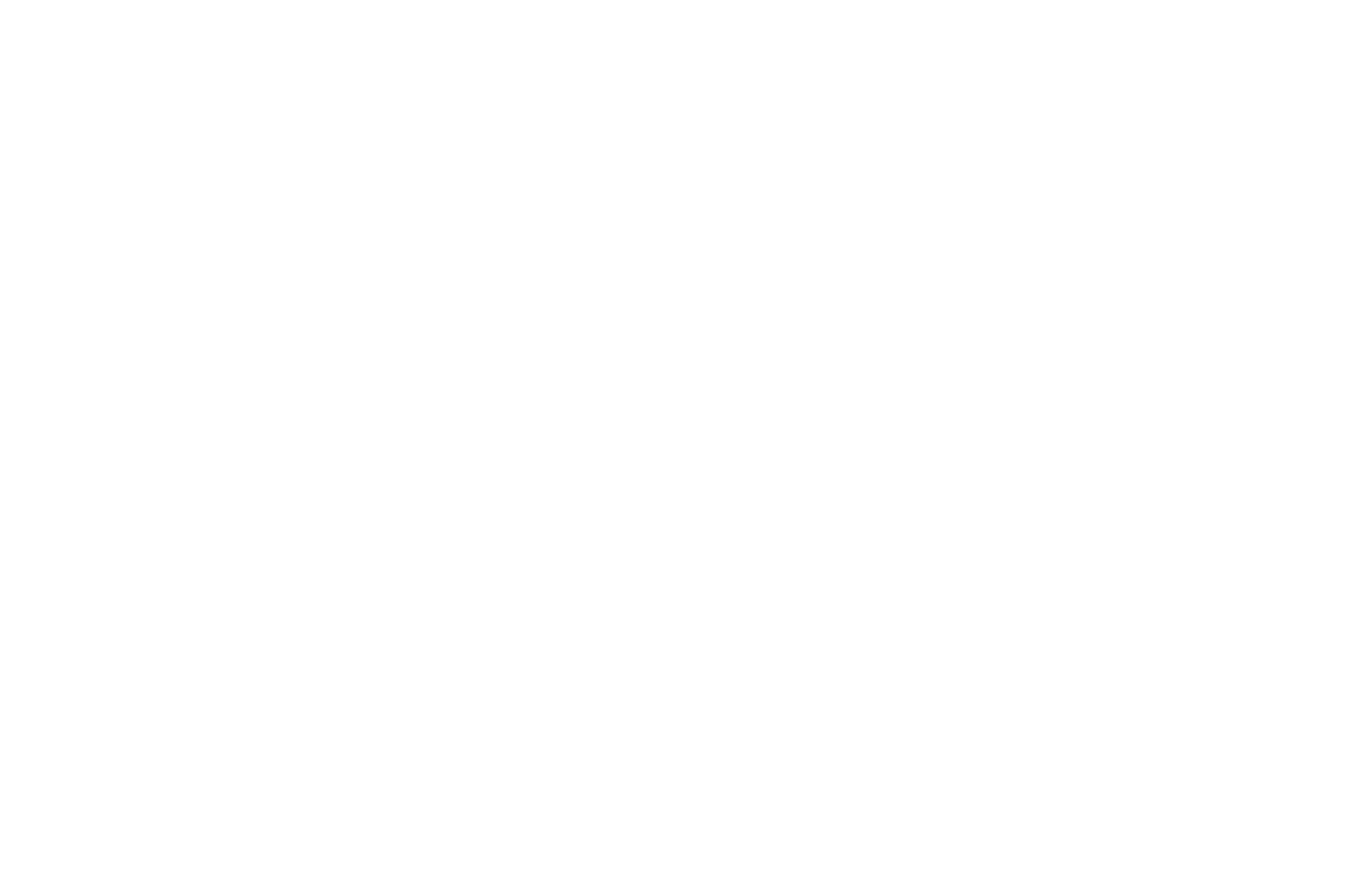 Indebleick Logo